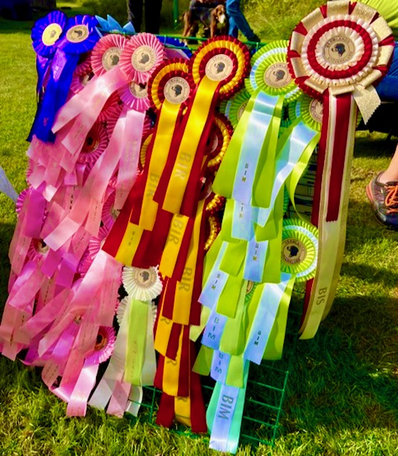 341700902_6139596936096593_8125906821636019146_n