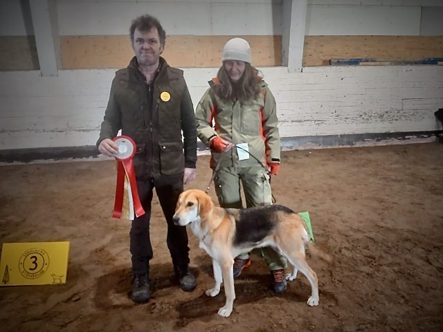 8b90850f-38e2-4d84-96f9-521c82232c57